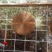 20161102_1158511